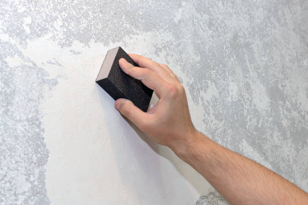 Best Mold Removal for HVAC Installations  in Marsing, ID