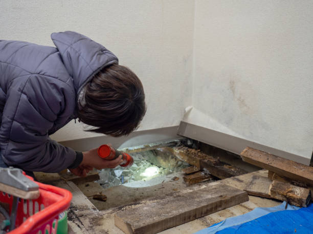 Best Biohazard Mold Removal  in Marsing, ID