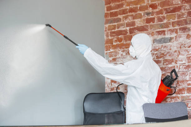 Best Mold Odor Removal Services  in Marsing, ID